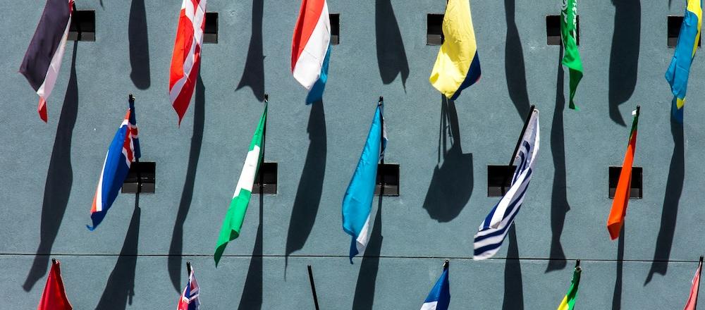 jason-leung-jCBzW_Q_UGI-unsplash.jpg flags